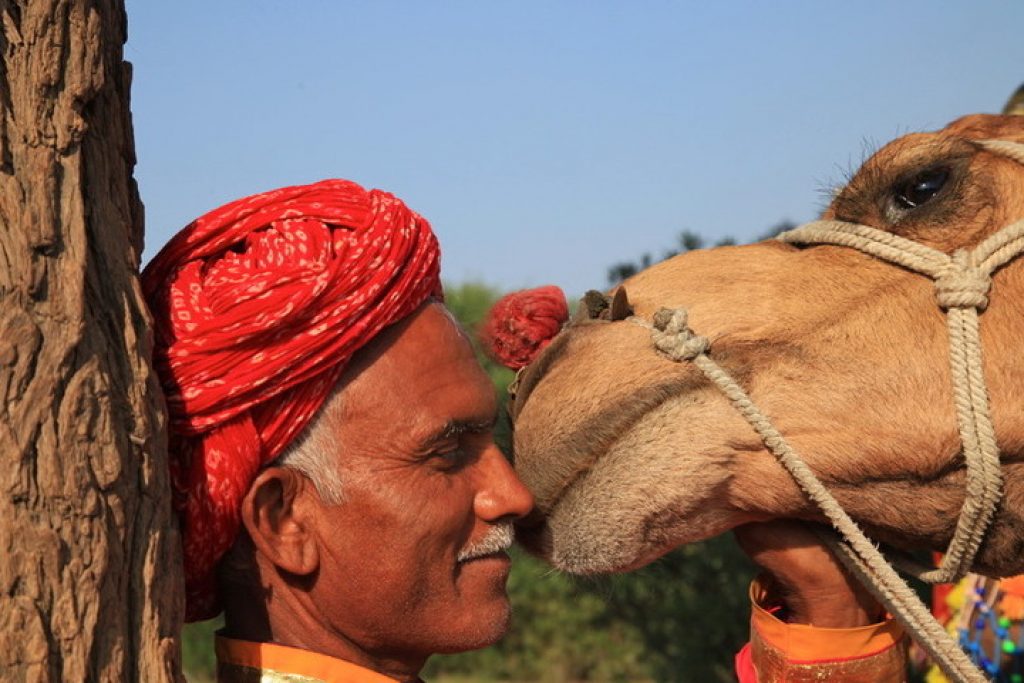 Started running tours to India