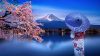 Splendours of Japan