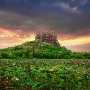 Sri Lanka Discovery