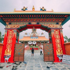 Journey Through The Himalayas