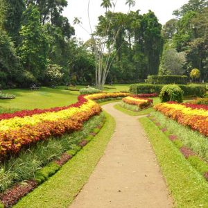 Gems of Sri Lanka And Kerala