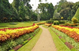 Gems of Sri Lanka And Kerala