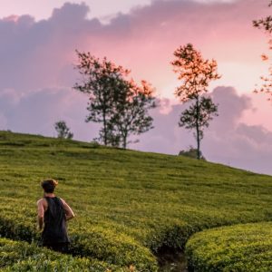 KANDY TO NANU OYA | Train from Kandy to Nanu Oya