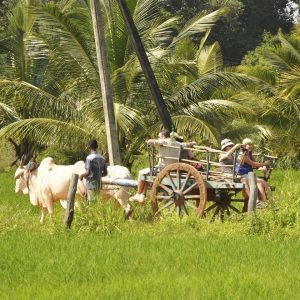 HIRIWADUNNA | Hiriwadunna Village Experience