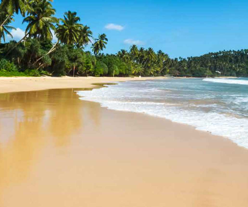 Beach Escapes