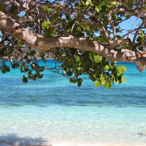 Barbados