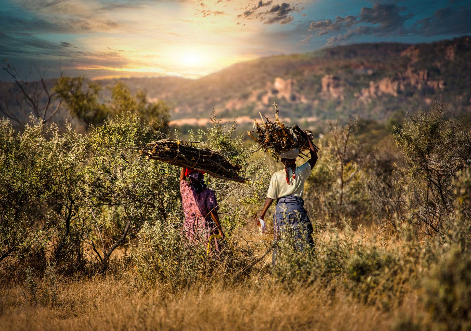 Two african woman in a village in Botswana carry firewood from the bush