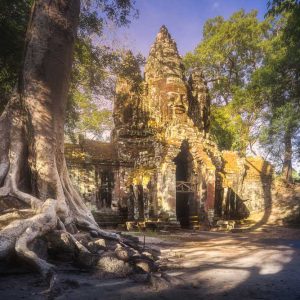 Magical Green Season in Angkor