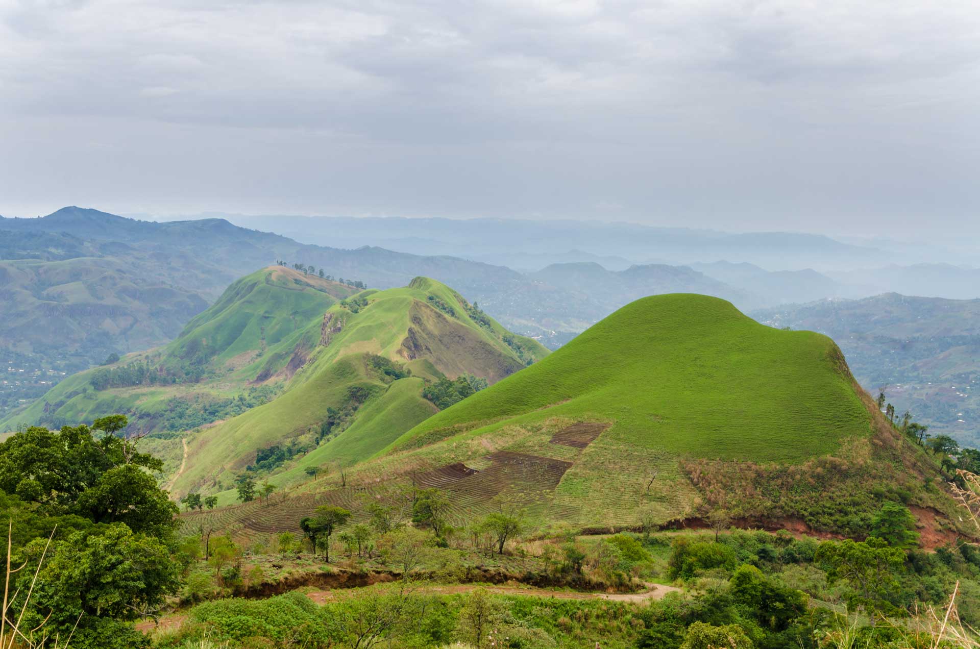 Rolling fertile hills with fields and crops on Ring Road of Cameroon, Africa