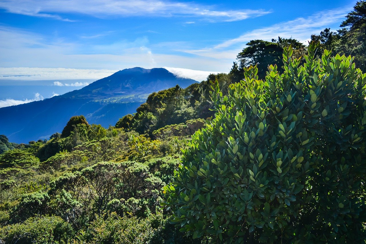 Costa Rica Nature Adventure