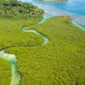 turquoise river that flows into the Atlantic Ocean in Panama