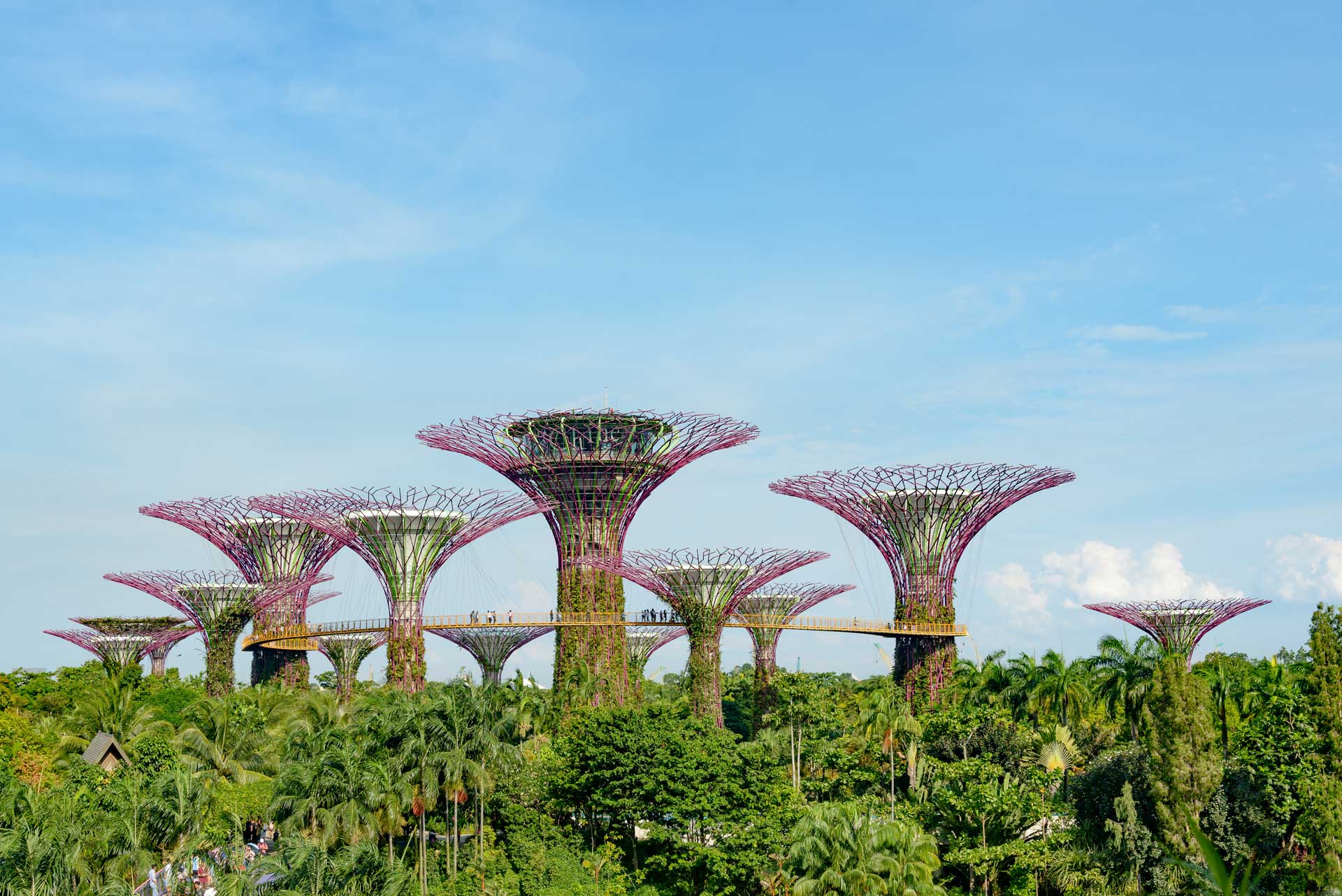 Singapore Supertrees in garden by the bay at Bay South Singapore.