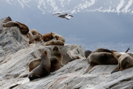 Natural Wonders of Argentina