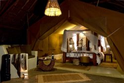 Kenya – Flamingo Hill Tented Camp Kenya - Flamingo Hill Tented Camp