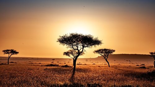 Photographers Special – Samburu and Masai Mara