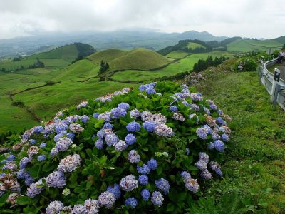 Sao Miguel Island Tour