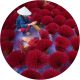 Round-Image-Vietnam Round-Image-Vietnam