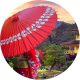 Round-Image-for-head-line-latest-news Round-Image-for-head-line-latest-news