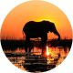 Round-Image-for-head-line-small-group-journeys Round-Image-for-head-line-small-group-journeys