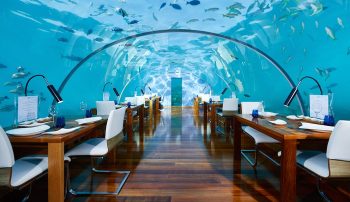 South Ari Atoll - Conrad Maldives Rangali Island - restaurant