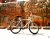 MAHABALIPURAM | Cycling in Mahabalipuram
